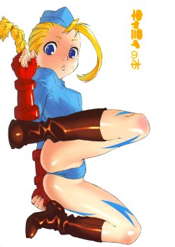 (C65) [666protect (Various)] Cammy no Hon (Street Fighter)