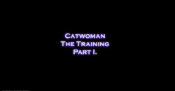 [Lock-Master]-Catwoman Captured 1