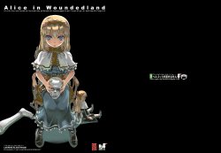 (C76) [Helmet ga Naosemasen (O-ide Chosuke)] Alice in Woundedland (Touhou Project)