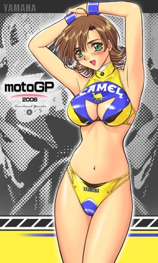 MotoGP 2006