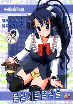 (C73) [Onomatopoeia (Yokoi Rego)] Hissatsuwaza de Kecchaku o | 필살기로 결착을 (Nagasarete Airantou) [Korean] [팀☆면갤]