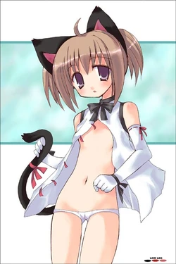 Assorted Ecchi Collection #036