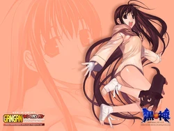 Anime Wallpaper Gallery 1280x960 (84 pics)