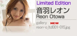 期間限定-Limited Edition - Reon Otowa 音羽レオン『evolution 』