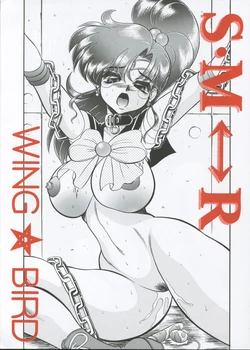 (C62) [Jingai Makyou Club (Wing☆Bird)] S&middot;M&harr;R (Sailor Moon)