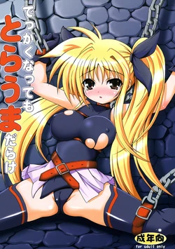 (C73) [KURUBUSI-KAI (Dowarukohu)] Dekkaku Natte mo Trauma Darake (Mahou Shoujo Lyrical Nanoha)