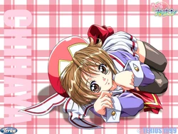 [Terios] Magical Fantasy Box