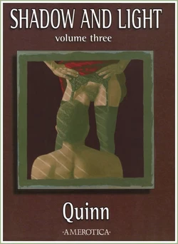 [Quinn] Shadow and Light - Volume 3