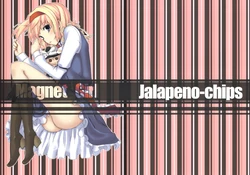 (C77) [Jalapeno Chips (Uro)] Magnet Girl (Touhou Project)