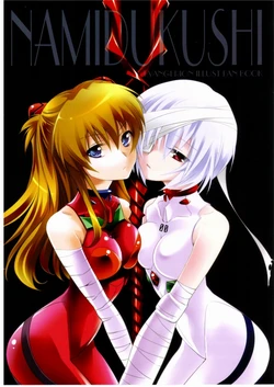 (C77) [Princess Heart (Amagai Yukino)] Namidukushi (Neon Genesis Evangelion)