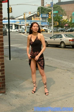 Nikki Park - Flashing in Public