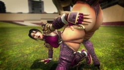 Gmod Fun with Video Game ladies