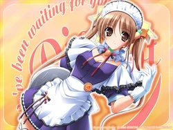 Pia Carrot Series' Wallpapers