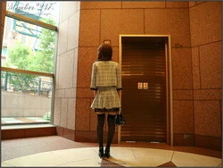 Member-247(Maxi-247) Girls-S MS267 Chiho ちほ