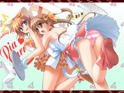 Pia Carrot G.O Extra Stuff