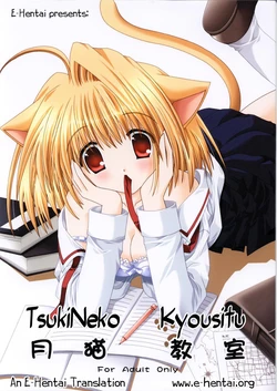 (C63) [Neko Kinryouku (NekoNeko)] Tsukineko Kyoushitsu (Tsukihime) [Spanish]