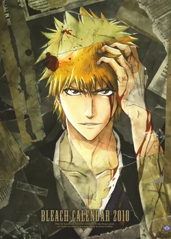Bleach 2010 Calendars