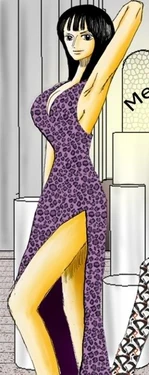 One Piece - Nico Robin