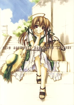 FC-G ARTWORKS HASHIMOTO TAKASHI [Artbook]