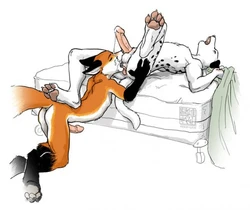 Furry Yaoi &not;&not;