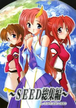 (C69) [Studio Q (Natsuka Q-Ya)] SEED Soushuuhen (Gundam SEED DESTINY)