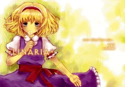 (C76) [Nekotank (Maitou)] LINARIA (Touhou Project)