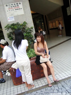 Miku - [Queen8] No. 011