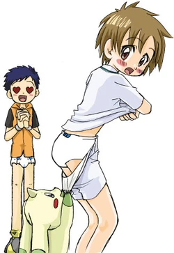 Diaper
