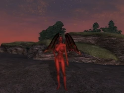 Oblivion Ladies