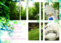 (C76) (コスプレ) [s.t.k feat cosgra] When you wish upon a star (Gundam SEED Destiny - Stella Loussier)