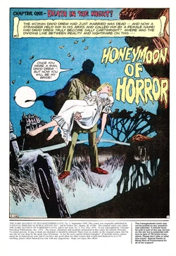Honeymoon of Horror