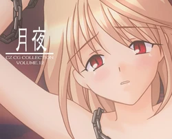 [CZ] Volume 12: Tsukiyo (Tsukihime)