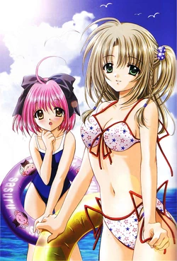 Aoi Nishimata HQ Gallery