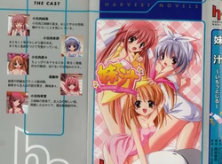 [Okada Runa] Imouto Jiru