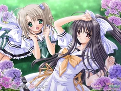 chicas anime 66