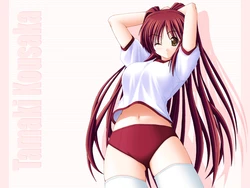 Various Ecchi Images 4