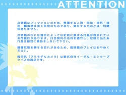 (C78) [WAVE STAR] Flaming Summer