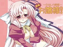 [GRAY ZONE] Inran Ojou-sama ～Nakadashi no Yuuwaku～