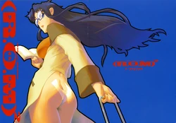 (C68) [Z-Vector (Nadeara Bukichi)] (R.O.M)2 Read Or Maebari 2 (Read or Die)