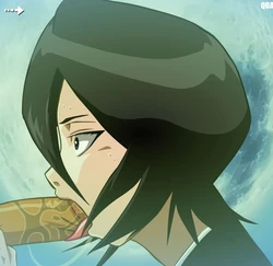 Rukia Capture Images