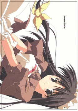 (C63) [ANGYADOW (Shikei)] .kapraservice lnc. (Ragnarok Online)