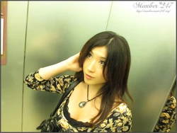 Shiori [Member-247(Maxi-247)]