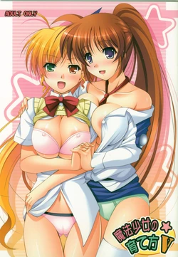 (C77) [K-Drive (Narutaki Shin)] Mahou Shoujo no Sodatekata V | How to Bring Up a Magical Girl V (Mahou Shoujo Lyrical Nanoha) [Spanish] [Eromonogatari]