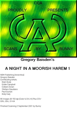A night in a moorish harem 1