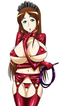 Big Breasts Series : Maids