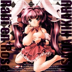 [Country Farm] Needle Garden Vol. 13 (Rabi~en~Rose)