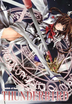 (C72) [RAID SLASH (Yahiro)] THUNDERBIRD (Mahou Shoujo Lyrical Nanoha) [Spanish] [Nekomi Fans]