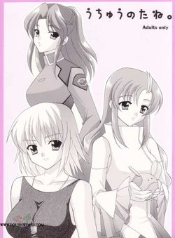 (CR33) [Teruo Haruo (Kanekiyo Miwa)] Uchu no Tane. (Gundam SEED) [English] [SaHa]