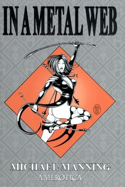 In a Metal Web #1