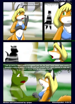 [Kitsune Youkai] Meeting in the Mist